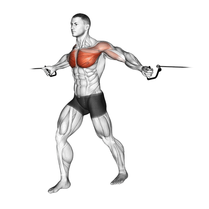 Exercice Ecarté aux poulies