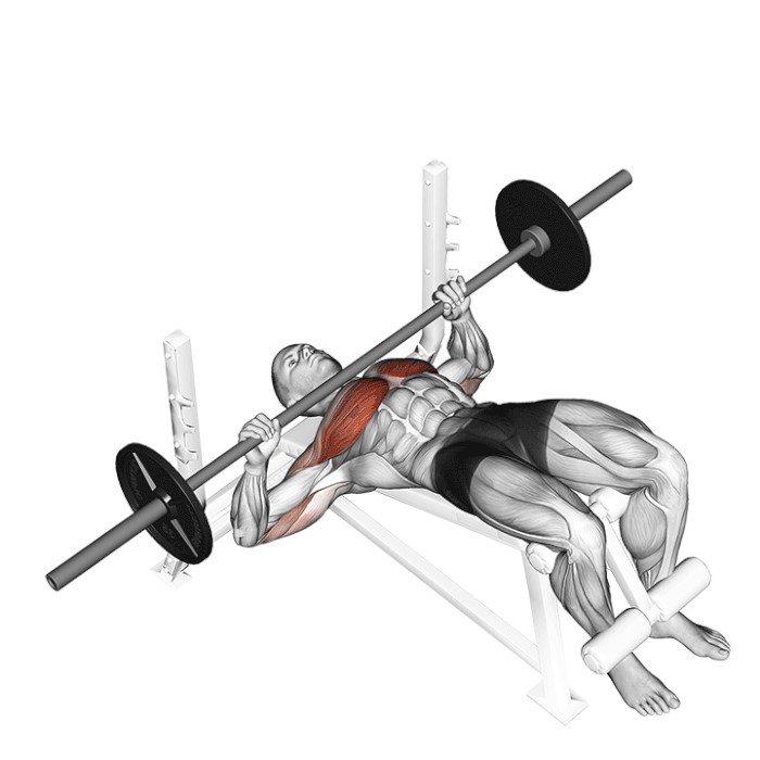 Développé décliné