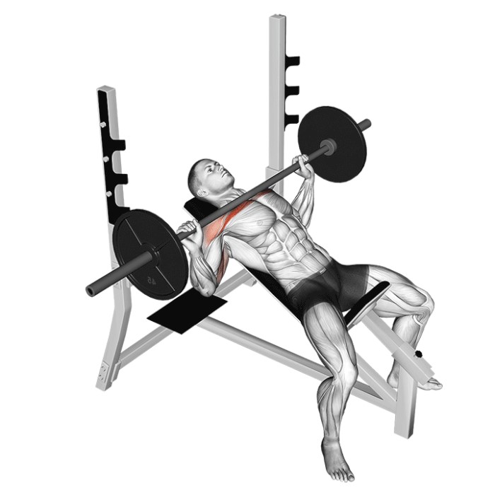 Développé incliné