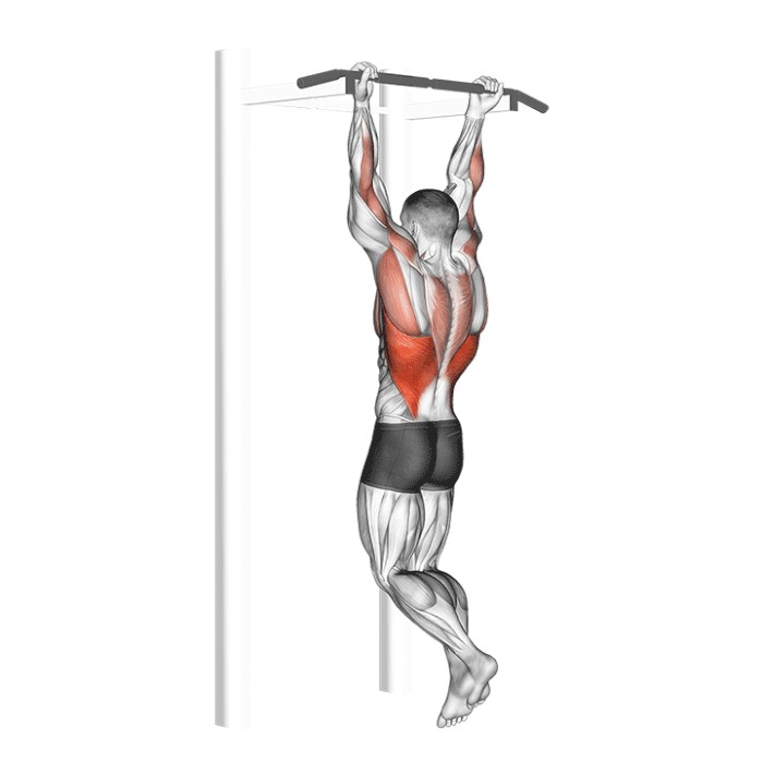 Tractions prise supination